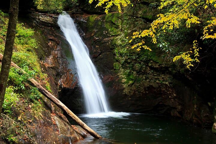Half-Day Waterfalls Hike from Asheville — Naturalist-Led Trails in Pisgah photo 3