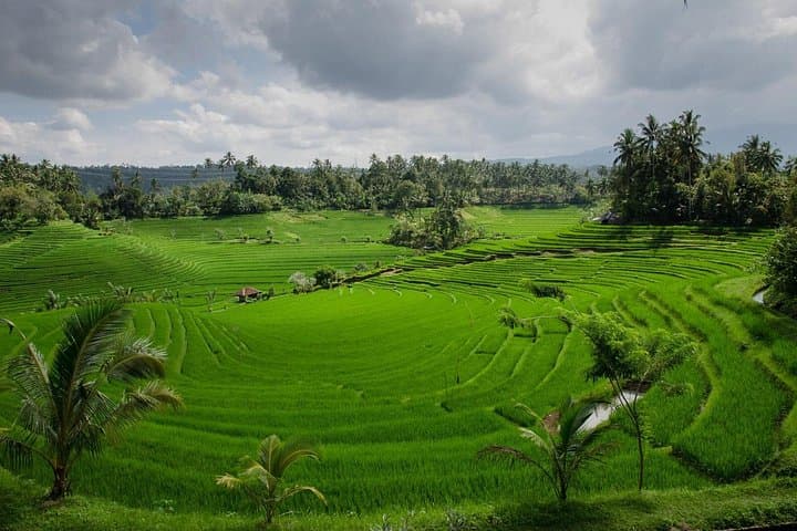 Private Bali Tour: Water Temples & UNESCO Jatiluwih Rice Terraces photo 5