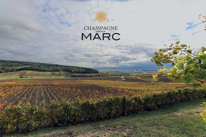 Champagne Sensory Tour: Private Vineyard Tastings and Cellar Secrets photo 6
