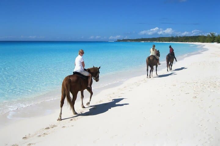 Beach Horseback Riding in Puerto Plata: Half-Day Jungle-to-Shore Ride photo 3