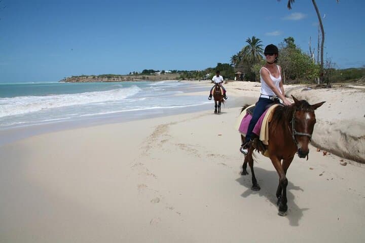 Beach Horseback Riding in Puerto Plata: Half-Day Jungle-to-Shore Ride photo 4