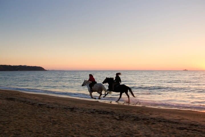 Sunset Horseback Riding Along Puerto Plata's Beaches photo 3