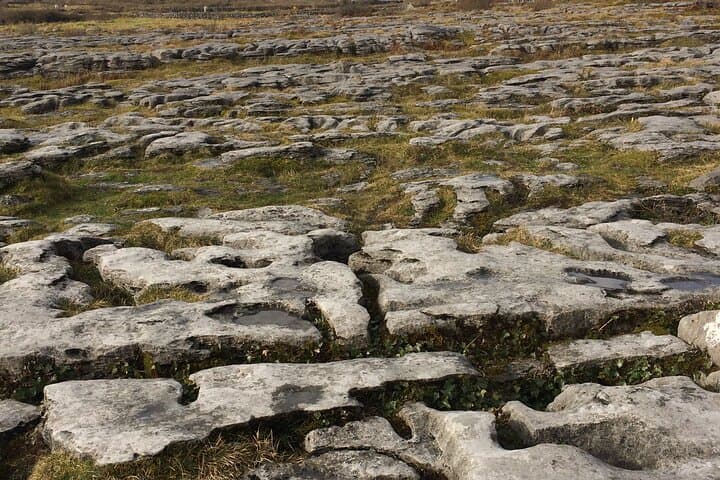 Cliffs of Moher and The Burren Private Tour from Killarney — Full-Day Guide photo 6