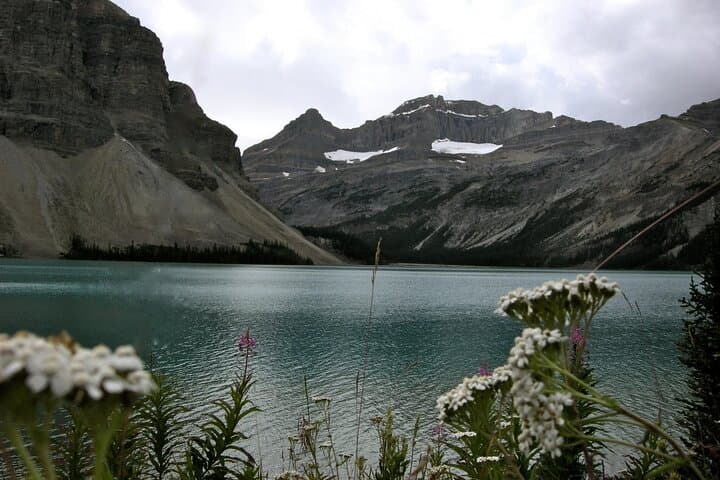 Bow Lake and Bow Falls Day Hike — Icefields Parkway Photo Hike