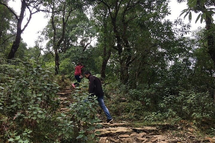 Half-Day Trek to Dhampus: Annapurna Views & Gurung Village Experience photo 6