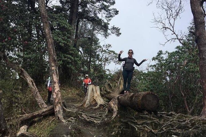 Ghandruk Gurung Culture Trek: 2-Day Teahouse Hike from Pokhara photo 1