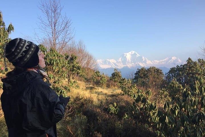 Ghandruk Gurung Culture Trek: 2-Day Teahouse Hike from Pokhara photo 2