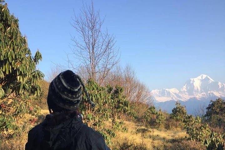 Ghandruk Gurung Culture Trek: 2-Day Teahouse Hike from Pokhara photo 4