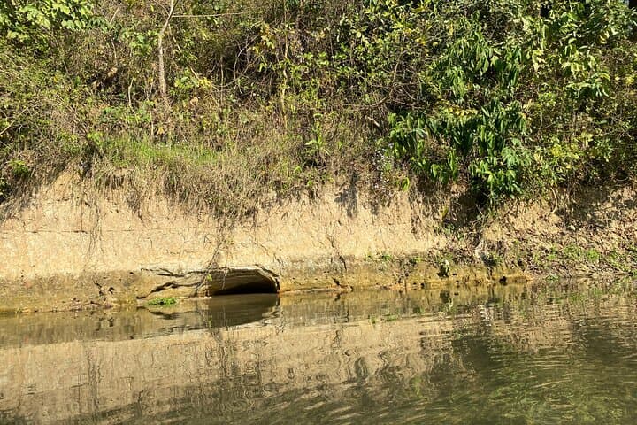 Chitwan Jungle Safari with Overnight Stay — 2-Day Wildlife & Birdwatching in Sauraha photo 6