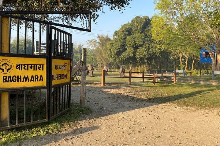 Chitwan Safari 2 Nights 3 Days: Jeep Safaris, Jungle Walks & Birding in Chitwan National Park photo 1