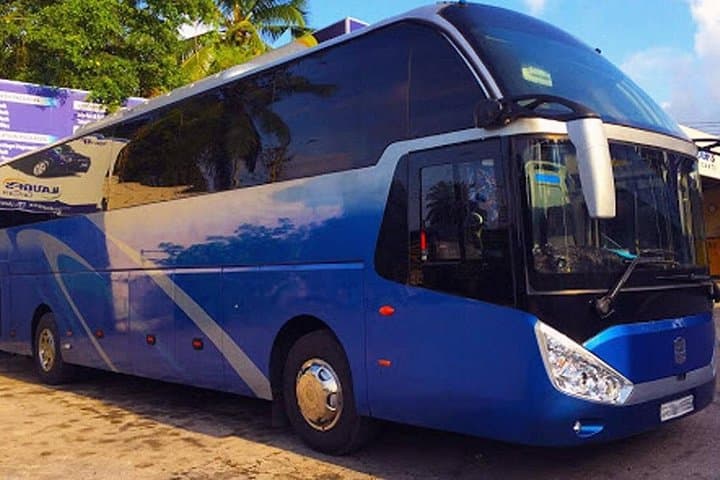 Private Chauffeur-Driven Bus Rental in Negombo: Stress-Free Touring in Sri Lanka photo 4