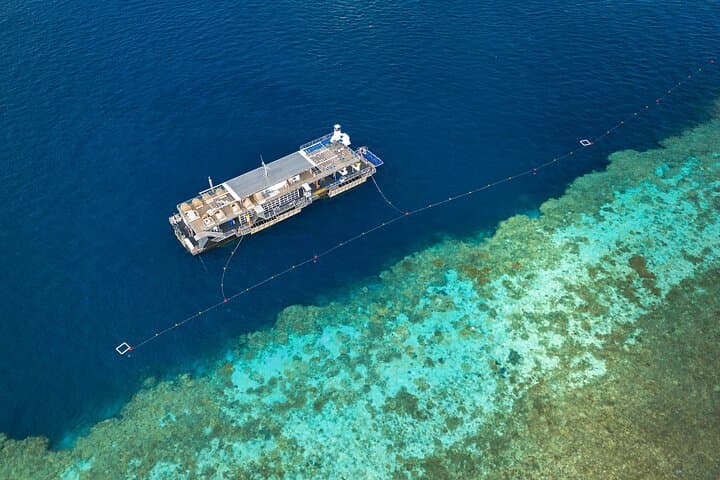 Reefsleep on Hardy Reef: Overnight Pontoon Experience on the Great Barrier Reef photo 2