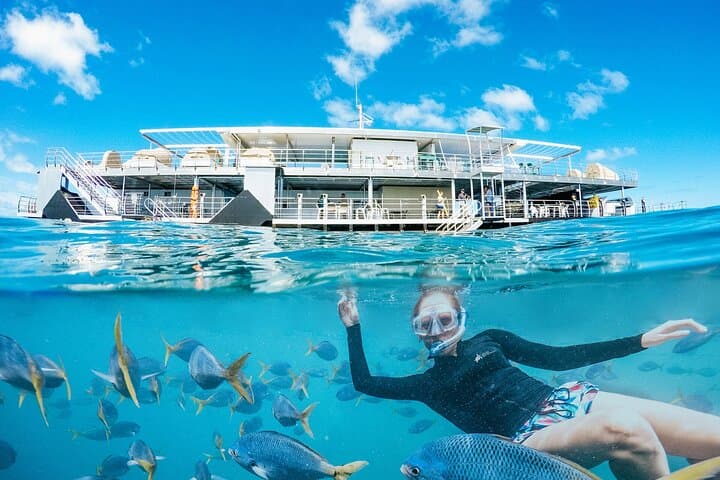 Reefsleep on Hardy Reef: Overnight Pontoon Experience on the Great Barrier Reef photo 3