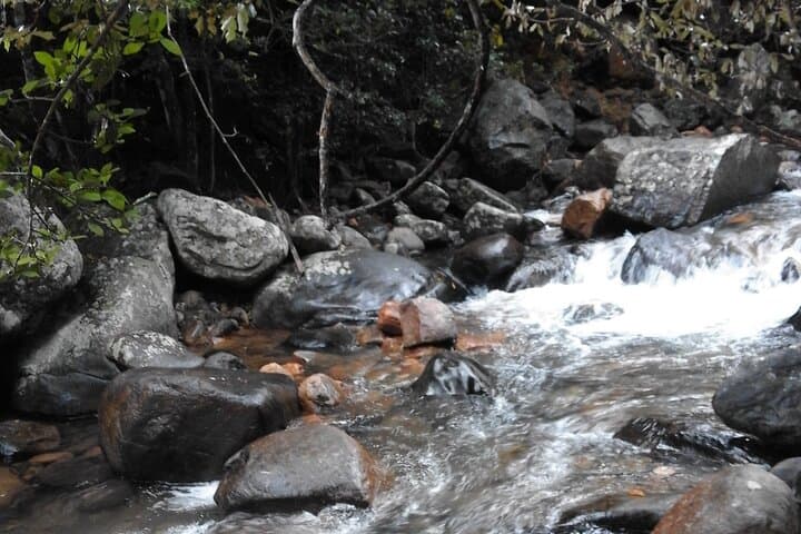 Belihuloya Waterfall Tour — Bambarakanda, Duwili Ella & Hidden Falls photo 3