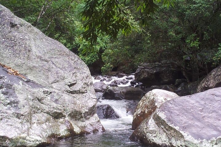 Belihuloya Waterfall Tour — Bambarakanda, Duwili Ella & Hidden Falls photo 4