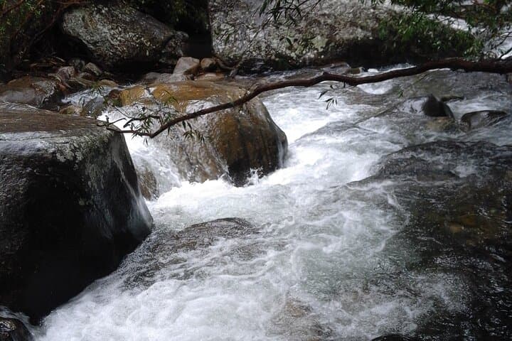 Belihuloya Waterfall Tour — Bambarakanda, Duwili Ella & Hidden Falls photo 5
