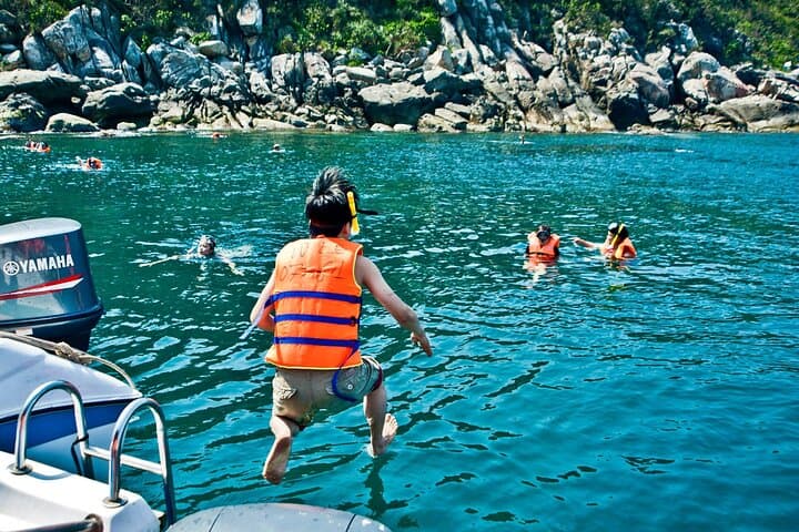 2-Day Wildlife Camping at Golden Sand Beach from Da Nang photo 4