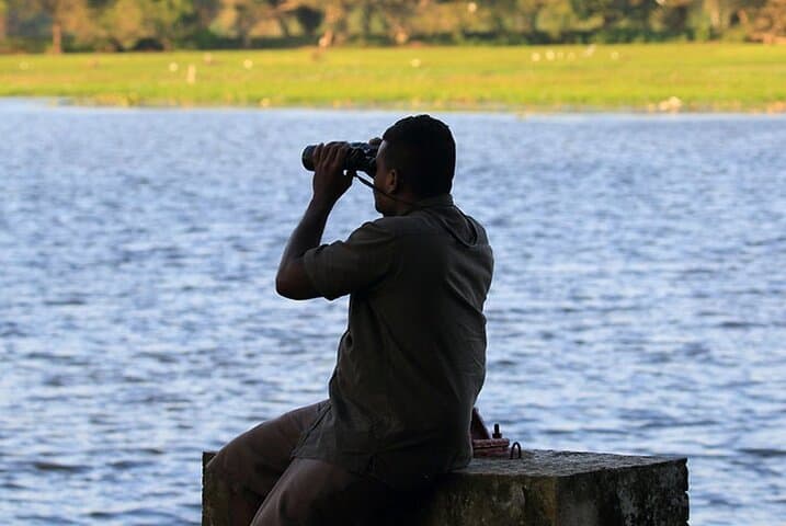 Sigiriya Birdwatching Walk: Countryside Birding Near Habarana photo 2