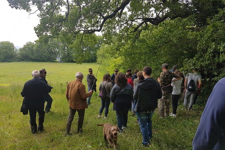Truffle Hunting and Tasting in Molise: Guided Forage with Truffle Dogs photo 3