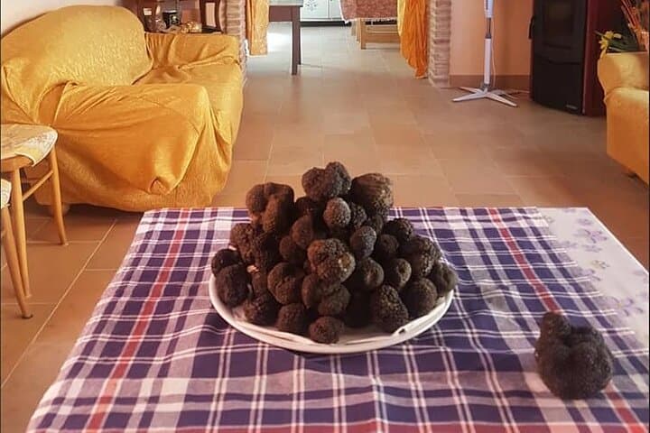 Truffle Hunting and Tasting in Molise: Guided Forage with Truffle Dogs photo 6