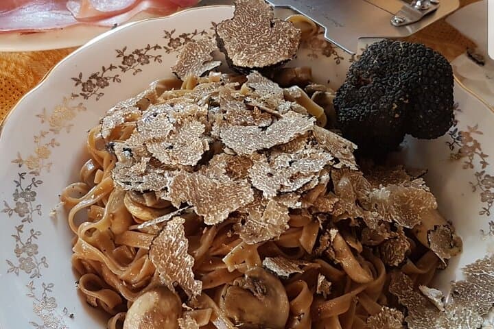 Truffle Hunting and Tasting in Molise: Guided Forage with Truffle Dogs photo 2