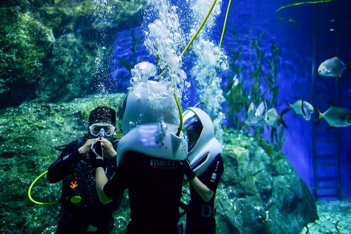 Blue Lagoon Snorkel: Boat Tour to Padangbai's Turquoise Reefs photo 2