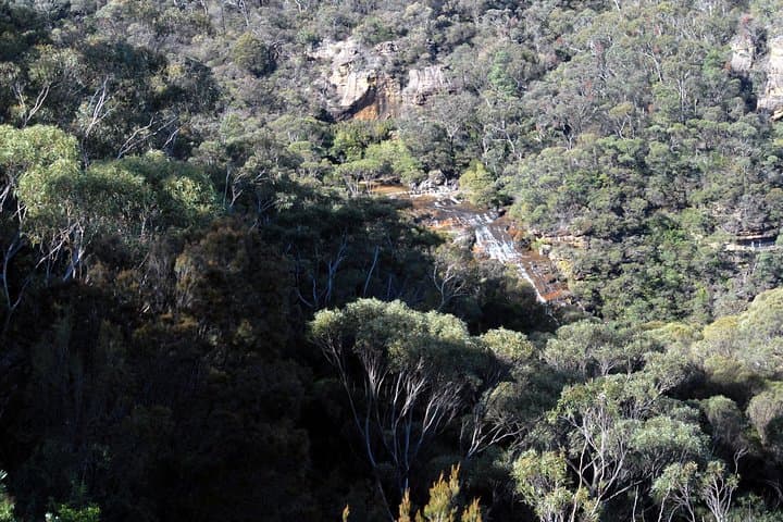 Blue Mountains Highlights: Wentworth Falls, Scenic Railway & Three Sisters Day Tour photo 2