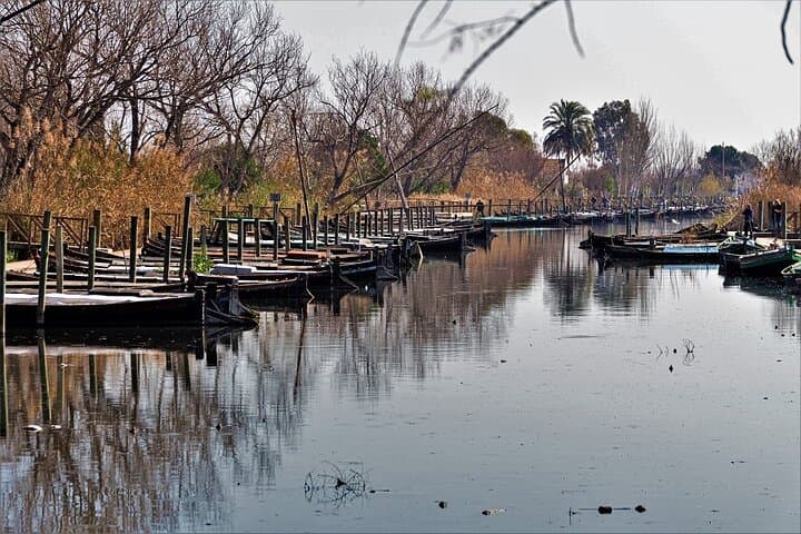 Albufera Lake Paella and Birdwatching Tour — Boat Ride, Rice Fields & El Palmar photo 4