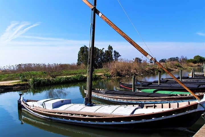 Albufera Lake Paella and Birdwatching Tour — Boat Ride, Rice Fields & El Palmar photo 5
