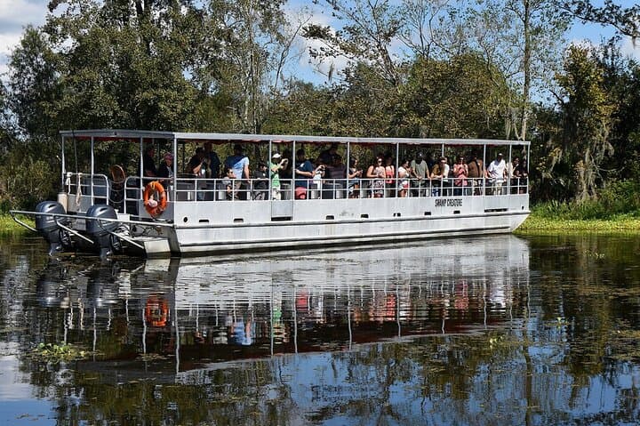 Guided New Orleans Bayou Boat Tour: Jean Lafitte Alligator & Wildlife Experience