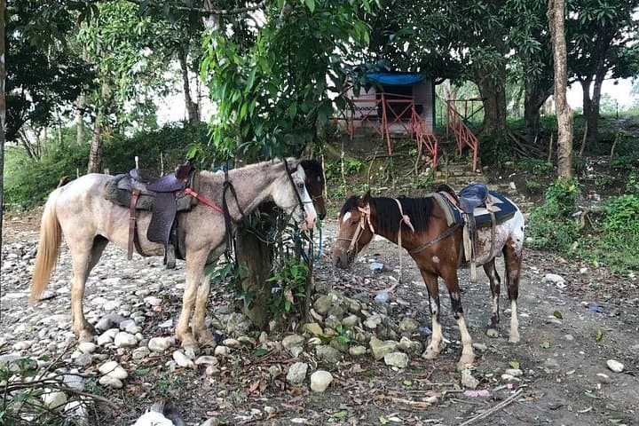 Half-Day Mountain Horseback Ride Above Puerto Plata: Scenic Countryside Safari photo 4