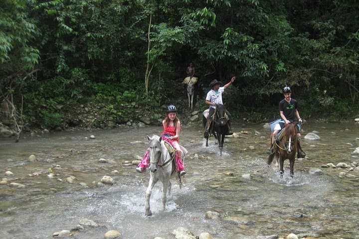Half-Day Mountain Horseback Ride Above Puerto Plata: Scenic Countryside Safari photo 2