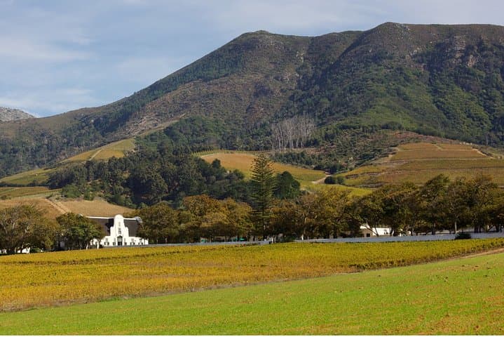 Constantia Hidden Gem Cycle: Half-Day Wine Tasting & Bike Tour photo 4