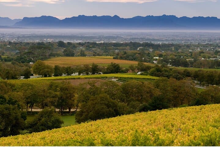 Constantia Hidden Gem Cycle: Full-Day Private Wine & Bike Tour photo 4