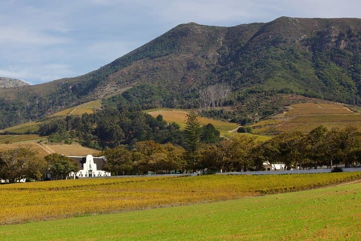Constantia Hidden Gem Cycle: Full-Day Private Wine & Bike Tour photo 3