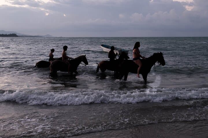Sunset Horseback Riding Along Puerto Plata's Beaches photo 5