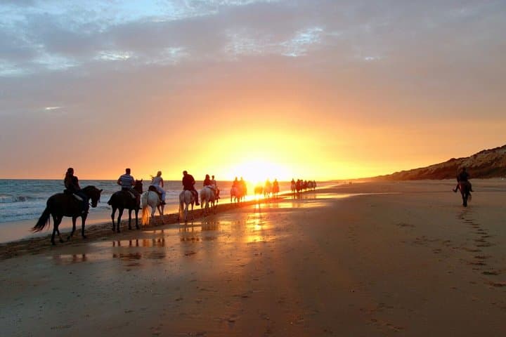 Sunset Horseback Riding Along Puerto Plata's Beaches
