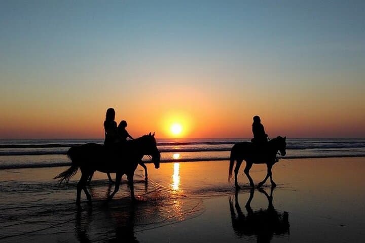 Sunset Horseback Riding Along Puerto Plata's Beaches photo 2