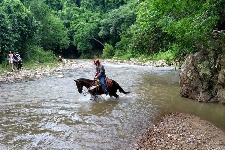 Puerto Vallarta Jungle Combo: Horseback, ATV & 7-Line Zipline Adventure photo 1