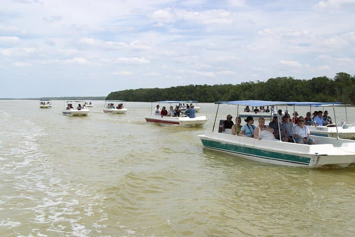 Celestun Biosphere Reserve Private Day Tour from Mérida — Flamingos & Ría Boat Ride photo 3