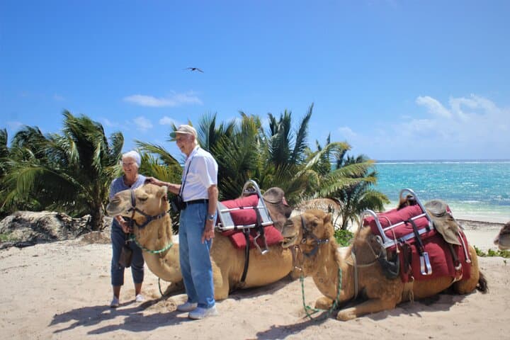 Camel Safari in Puerto Morelos: Jungle-to-Beach Ride with Beach Club Access photo 6