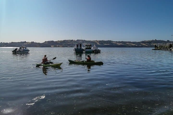 Kayaking the Castro Fjord: Palafitos & Chonos Heritage on Chiloé Island