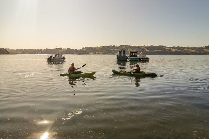 Kayaking the Castro Fjord: Palafitos & Chonos Heritage on Chiloé Island photo 2