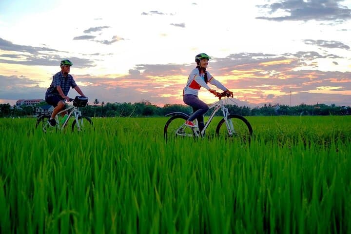 Cycling Son Tra Peninsula: 6-Hour Monkey Mountain Bike Tour from Da Nang photo 4