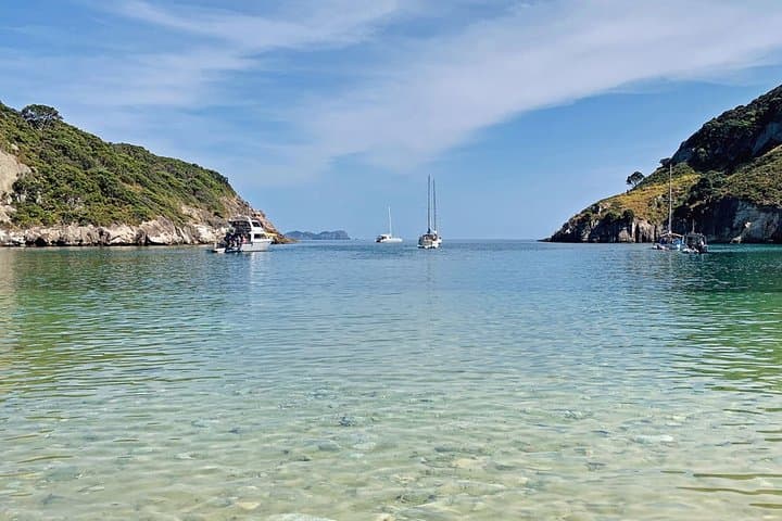 Exclusive Waiheke Island Sailing Charter to Hauraki Gulf Islands