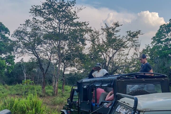 Hurulu Eco Park Safari from Polonnaruwa — Private Jeep to See Sri Lankan Elephants photo 6