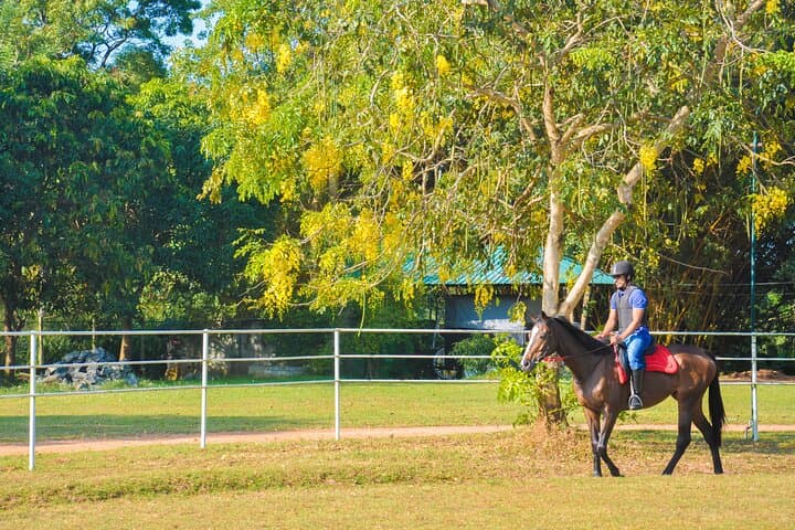 Beginner Horse Riding near Habarana: ForestPark Dambulla One-Hour Guide photo 4