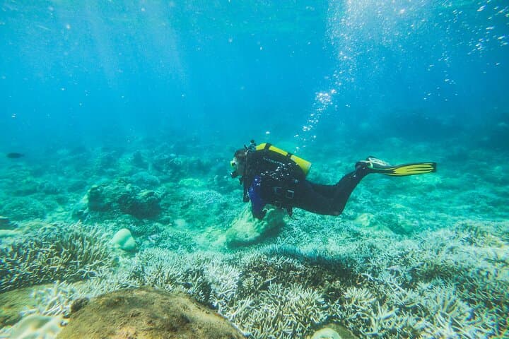 Scuba Diving in Trincomalee: Clear Reefs and Deep-Water Walls in Sri Lanka photo 2