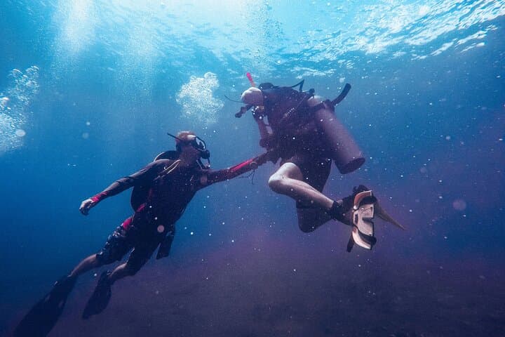 Scuba Diving in Trincomalee: Clear Reefs and Deep-Water Walls in Sri Lanka