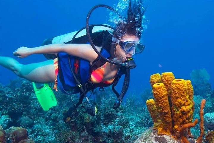 Scuba Diving Mount Lavinia: City-Edge Reefs & PADI Courses Near Colombo photo 3
